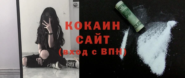 дживик Россошь