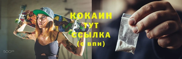 дживик Россошь
