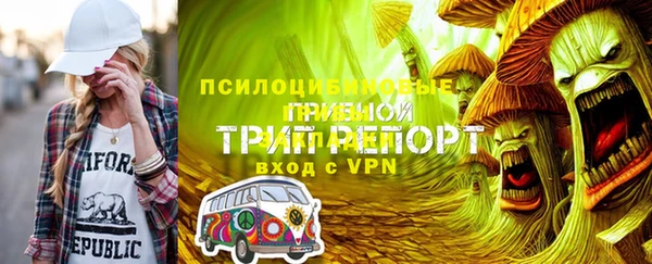 дживик Россошь