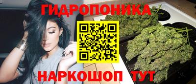спайс Кулебаки