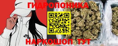 дмт Кунгур