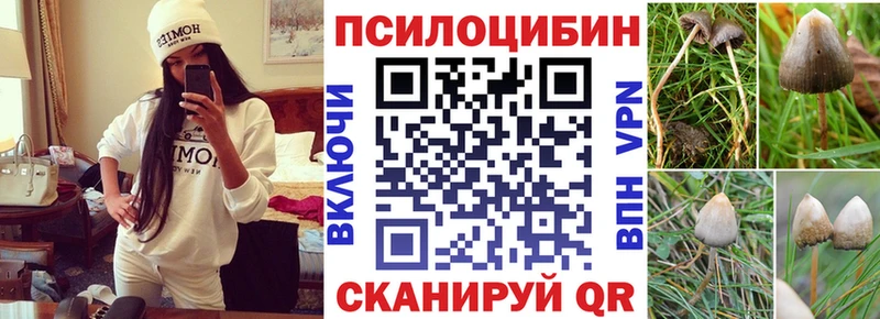 Галлюциногенные грибы мухоморы  Кингисепп 
